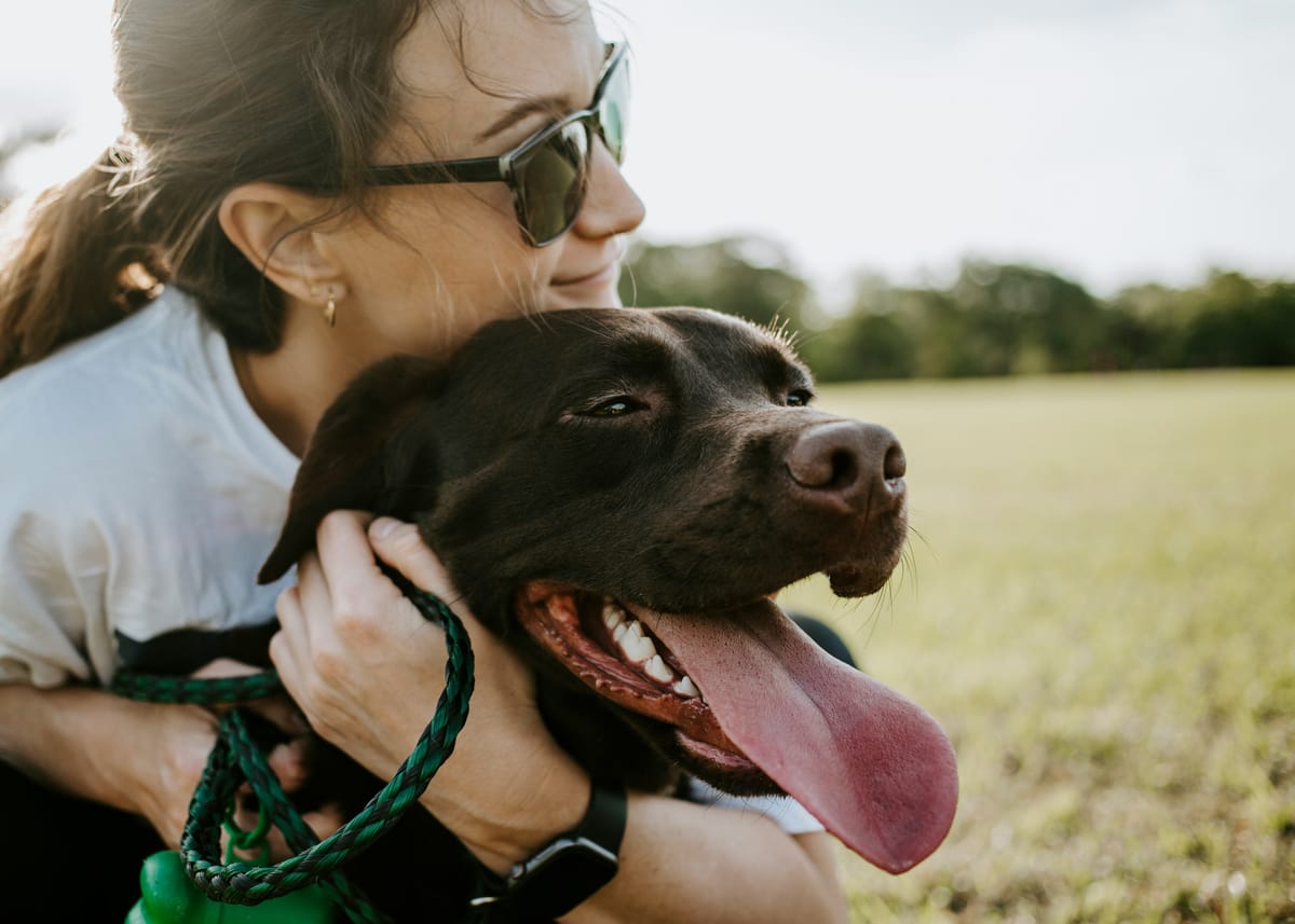 Prepping for Your Pet Sitter (So You Can Travel Worry-Free)