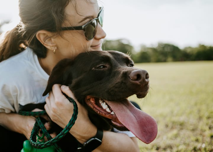 pet sitter hugging Labrador retriever